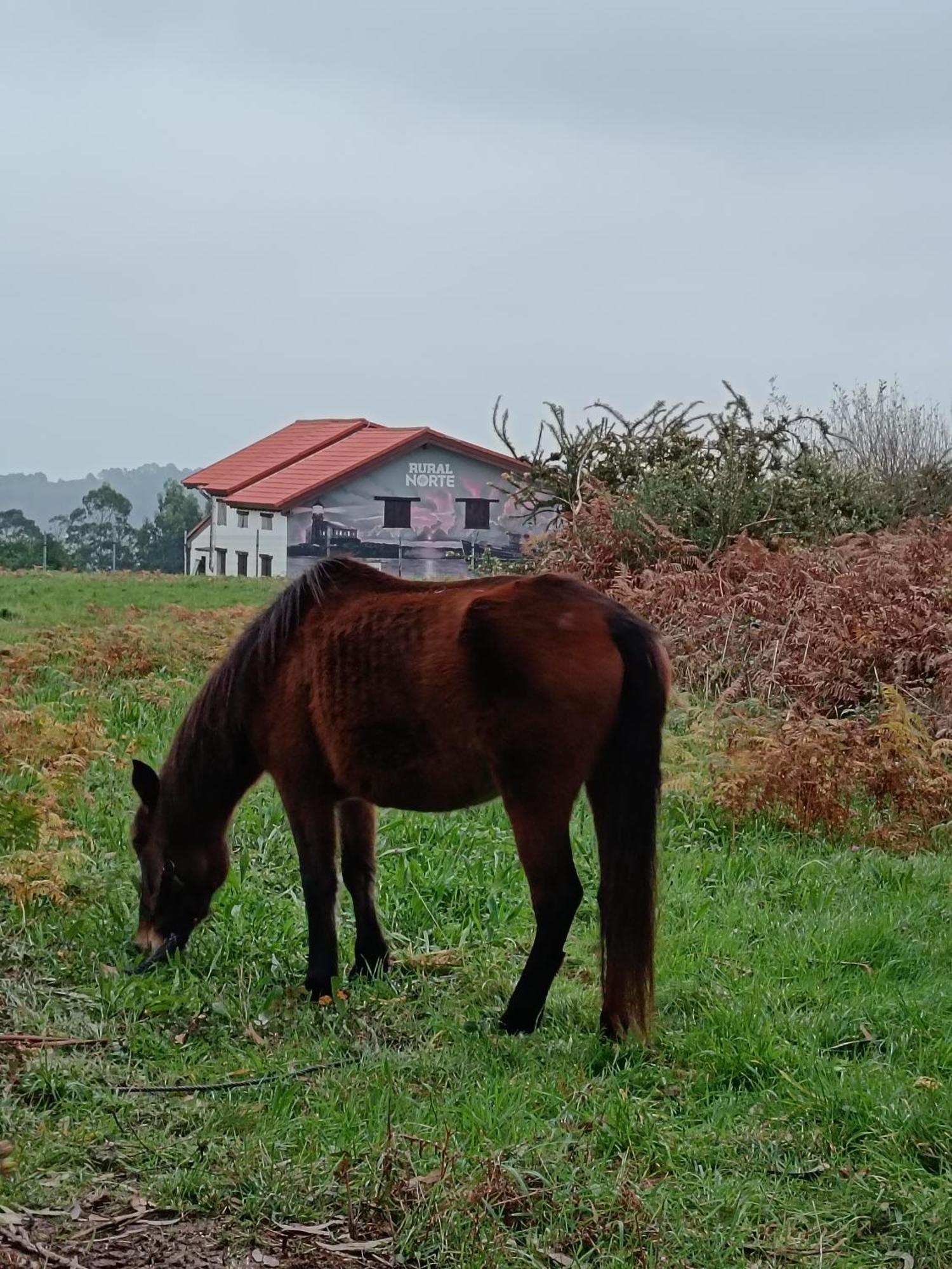 Rural Norte Bañugues Eksteriør bilde